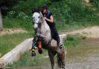 Equitation dans le 34